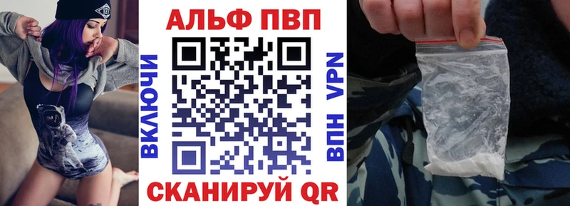 kraken   Далматово  Альфа ПВП СК КРИС 