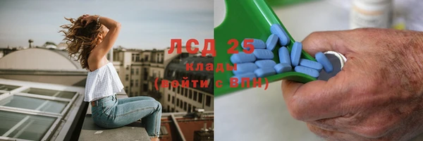 шишки Балахна