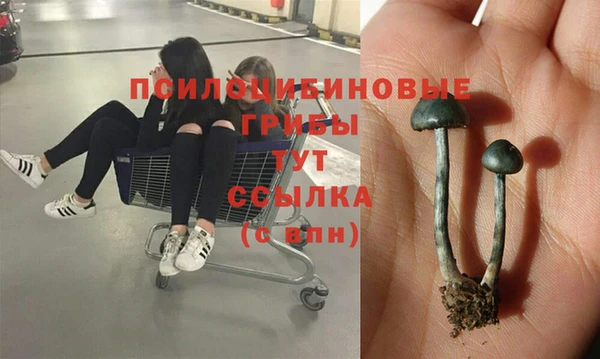 дурь Армянск