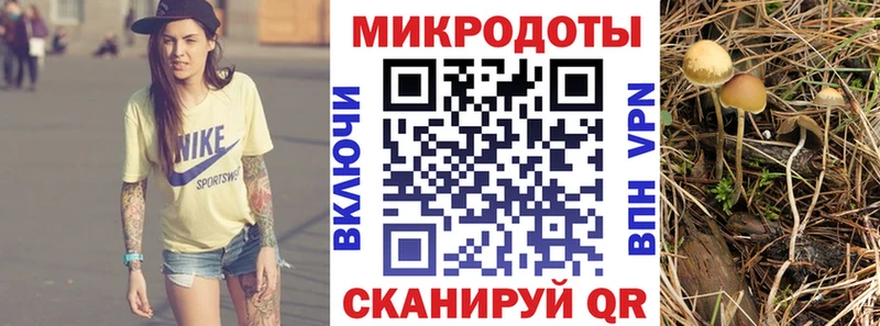 Галлюциногенные грибы прущие грибы  Далматово 
